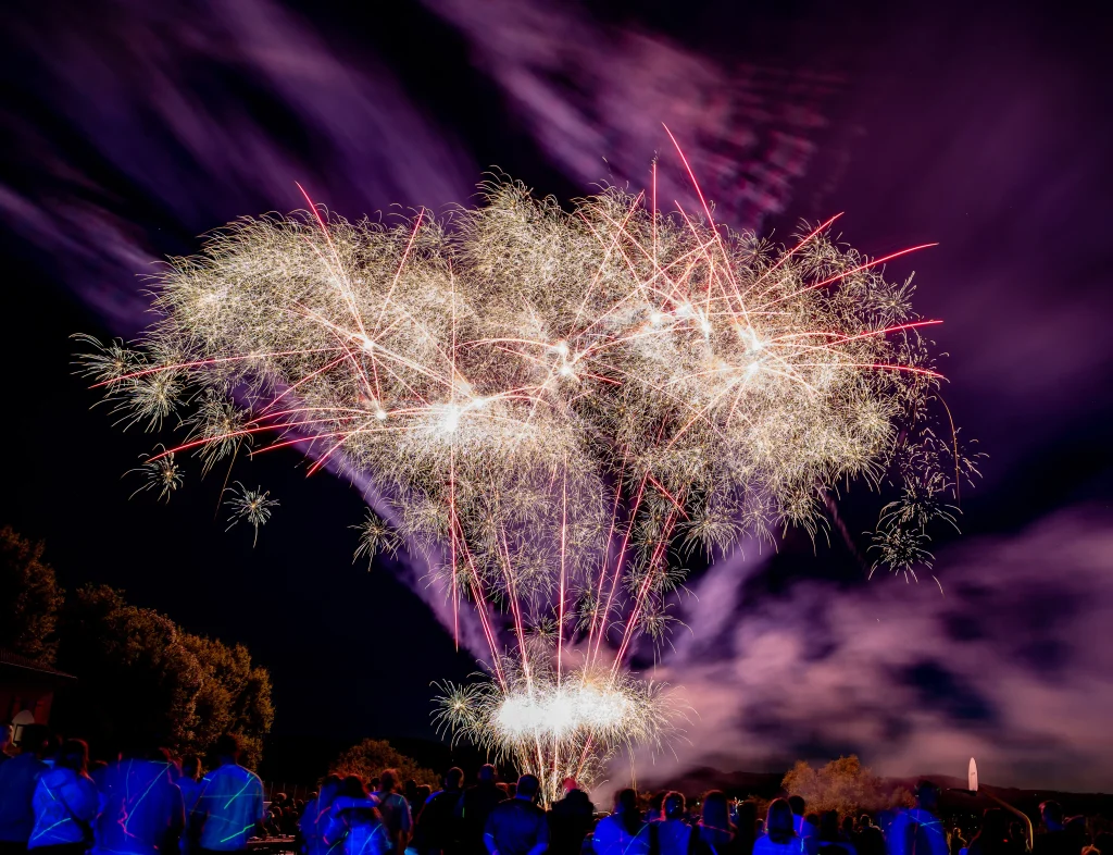 SANS LOGO 20240713 feu d artifice chaponost Albin Bonnard 14